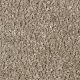 Mohawk Carpet
Classical Design III 12'